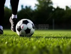 狐影,战场,勇士蓄势待,征途国际,征途国际电子官网,征途国际,a超凡国际,征途国际电子登录入口,征途国际电子注册